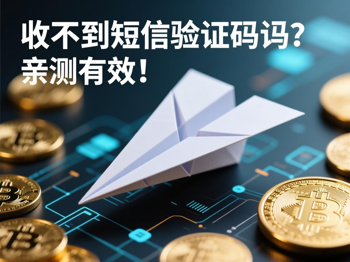 纸飞机失联？收不到短信验证码的终极破解指南，亲测有效！