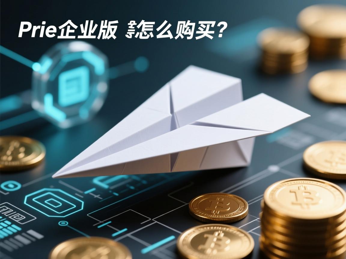 纸飞机企业版怎么购买