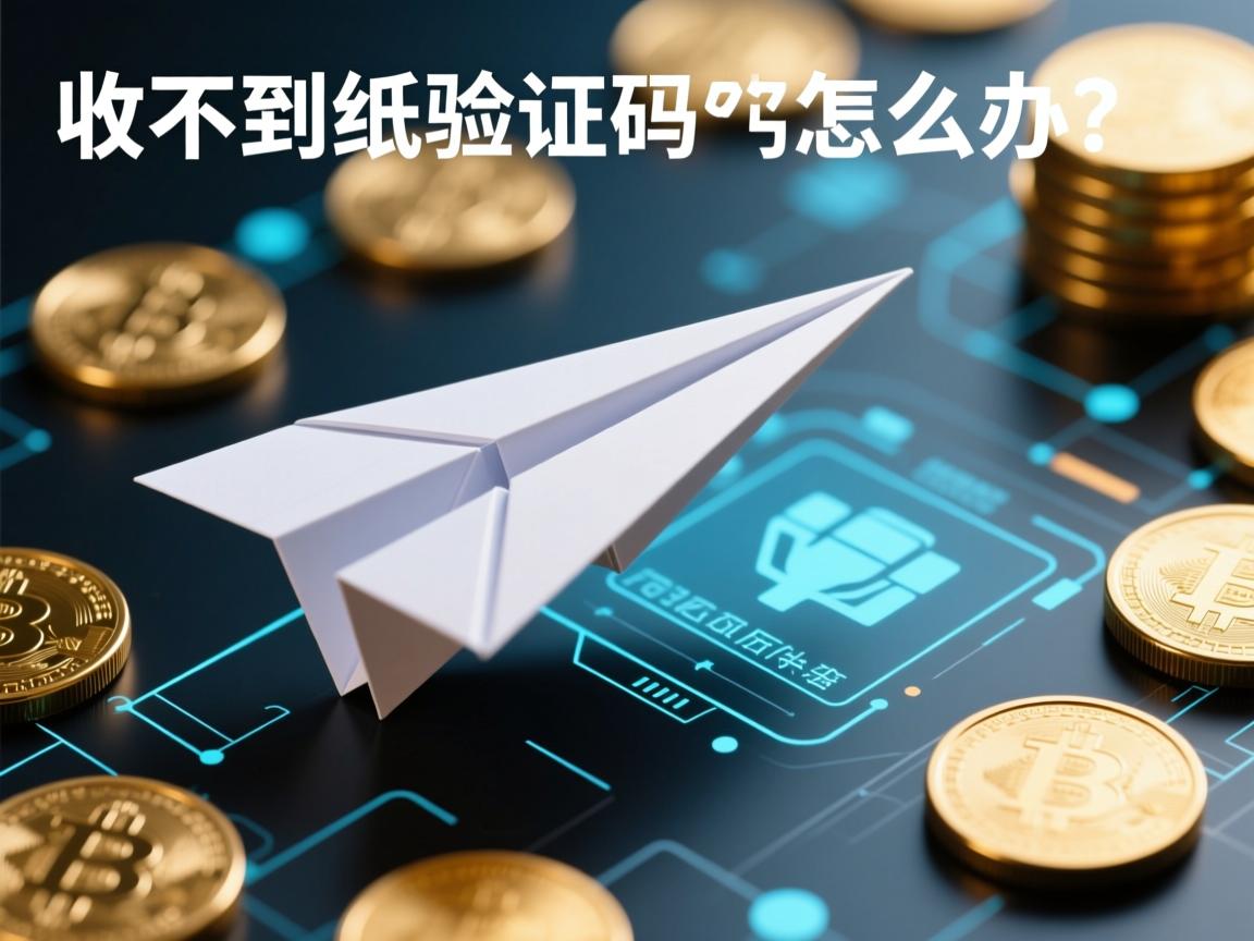 收不到纸飞机验证码怎么办