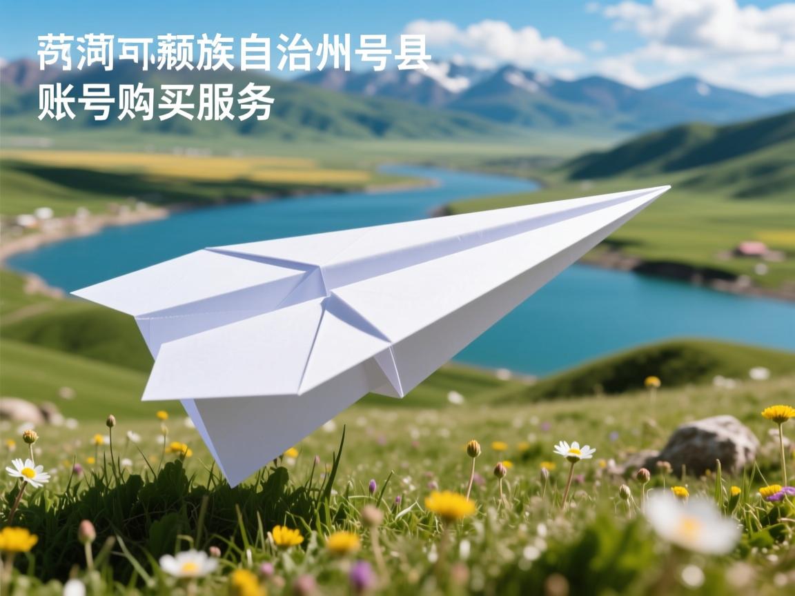 果洛藏族自治州玛沁县纸飞机账号购买服务