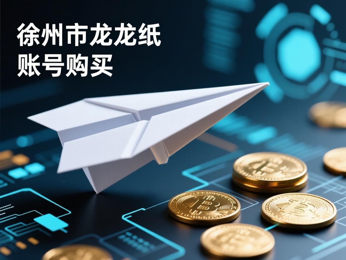 徐州市云龙区纸飞机账号购买
