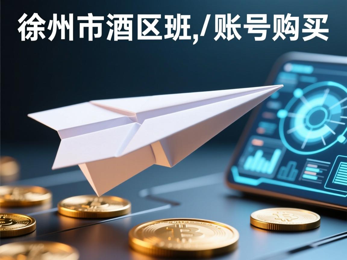徐州市贾汪区纸飞机账号购买
