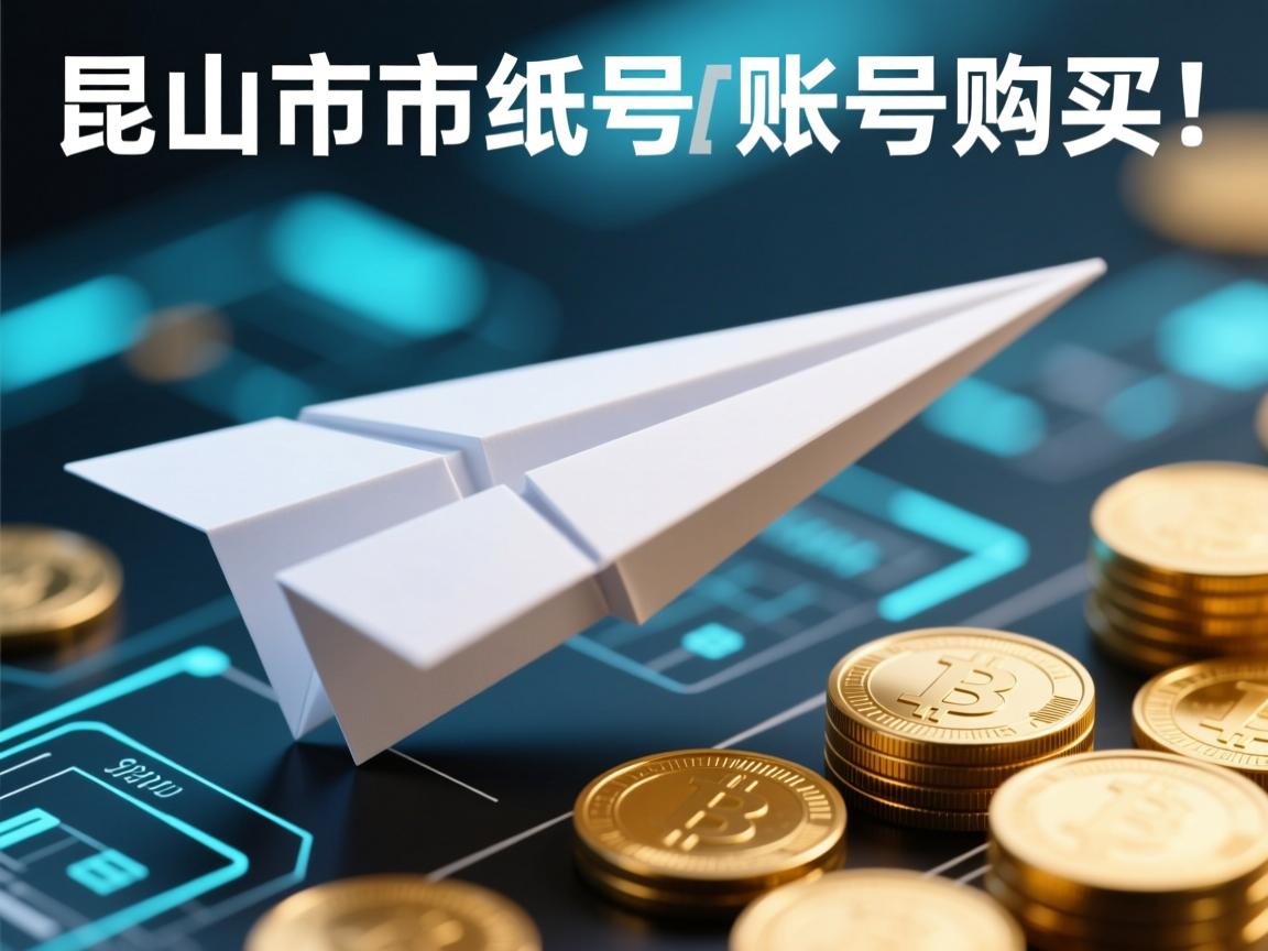 昆山市纸飞机账号购买