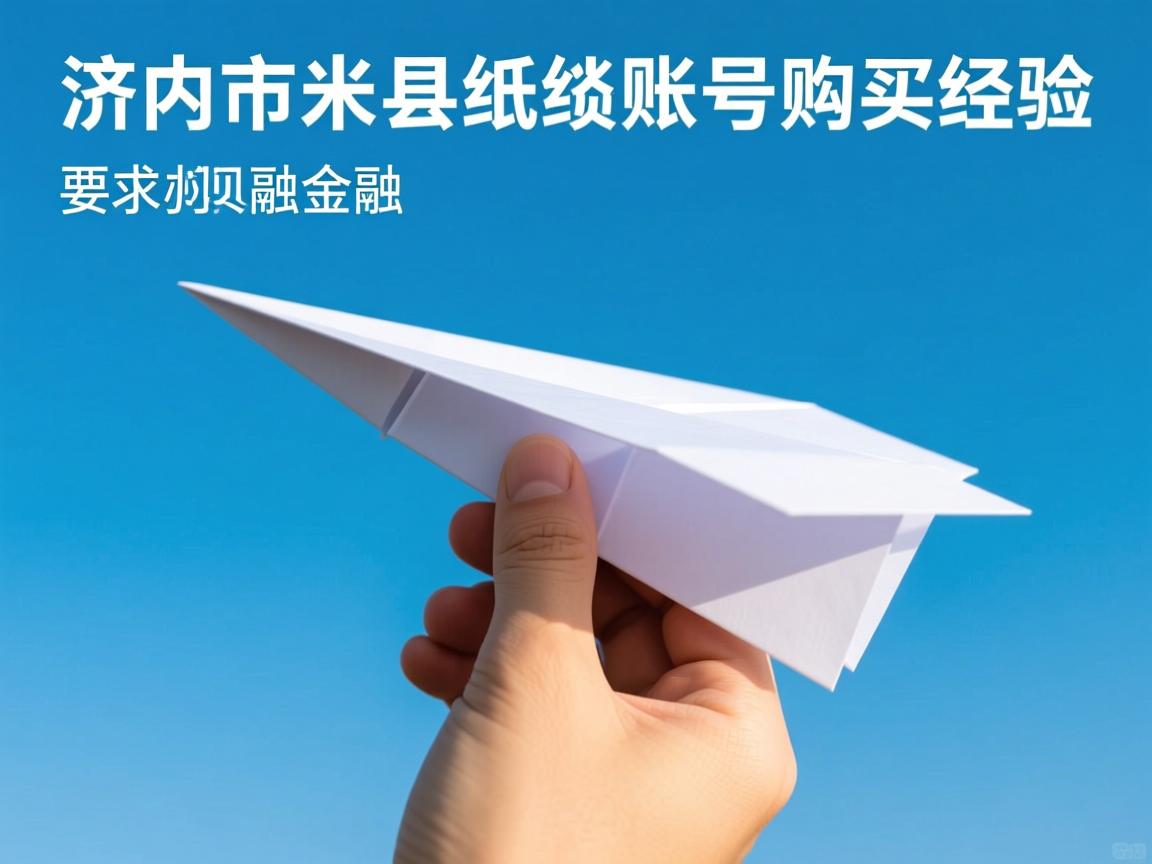 济宁市泗水县纸飞机账号购买经验