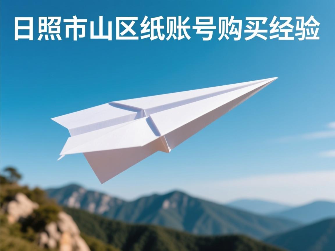 日照市岚山区纸飞机账号购买经验