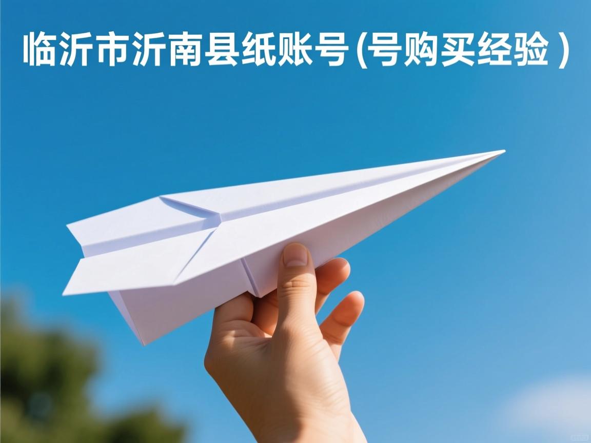 临沂市沂南县纸飞机账号购买经验