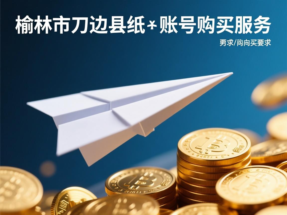 榆林市定边县纸飞机账号购买服务