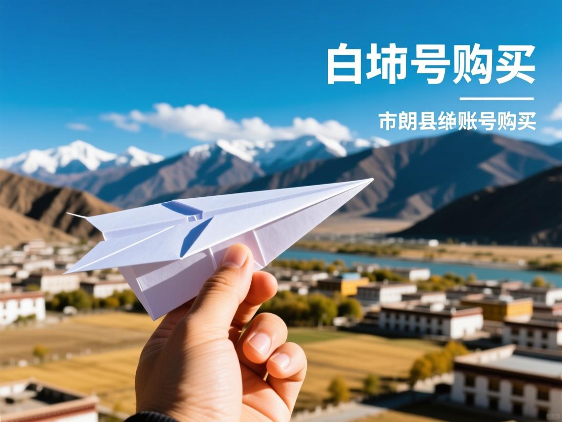 日喀则市白朗县纸飞机账号购买