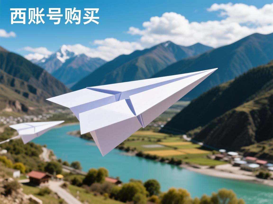 昌都市卡若区纸飞机账号购买