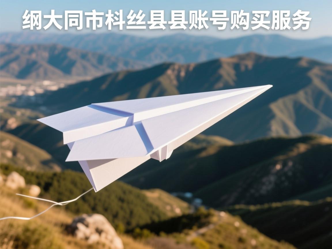 大同市灵丘县纸飞机账号购买服务