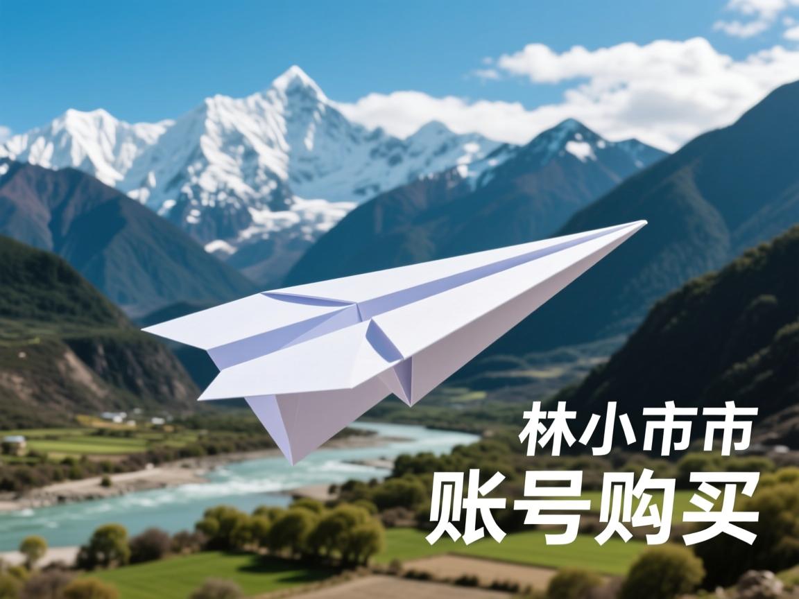 林芝市米林市纸飞机账号购买