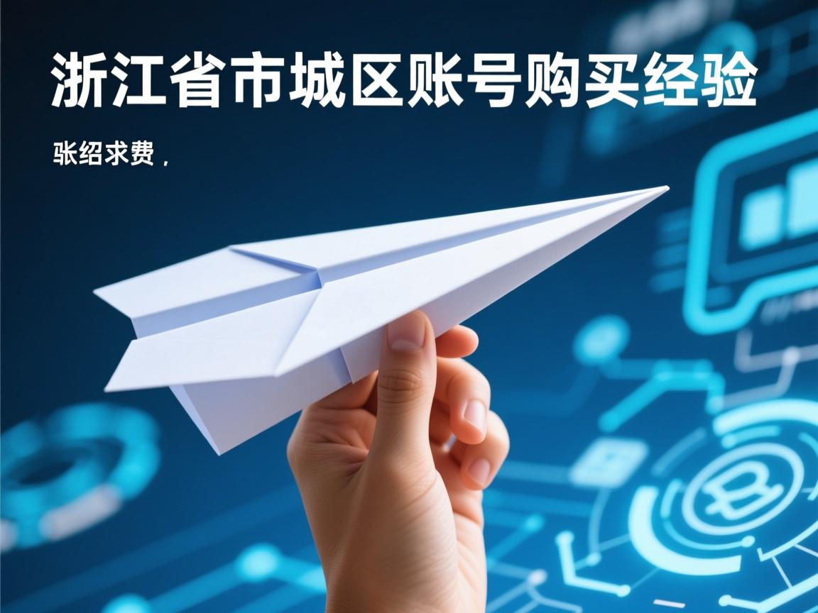 浙江省绍兴市越城区纸飞机账号购买经验