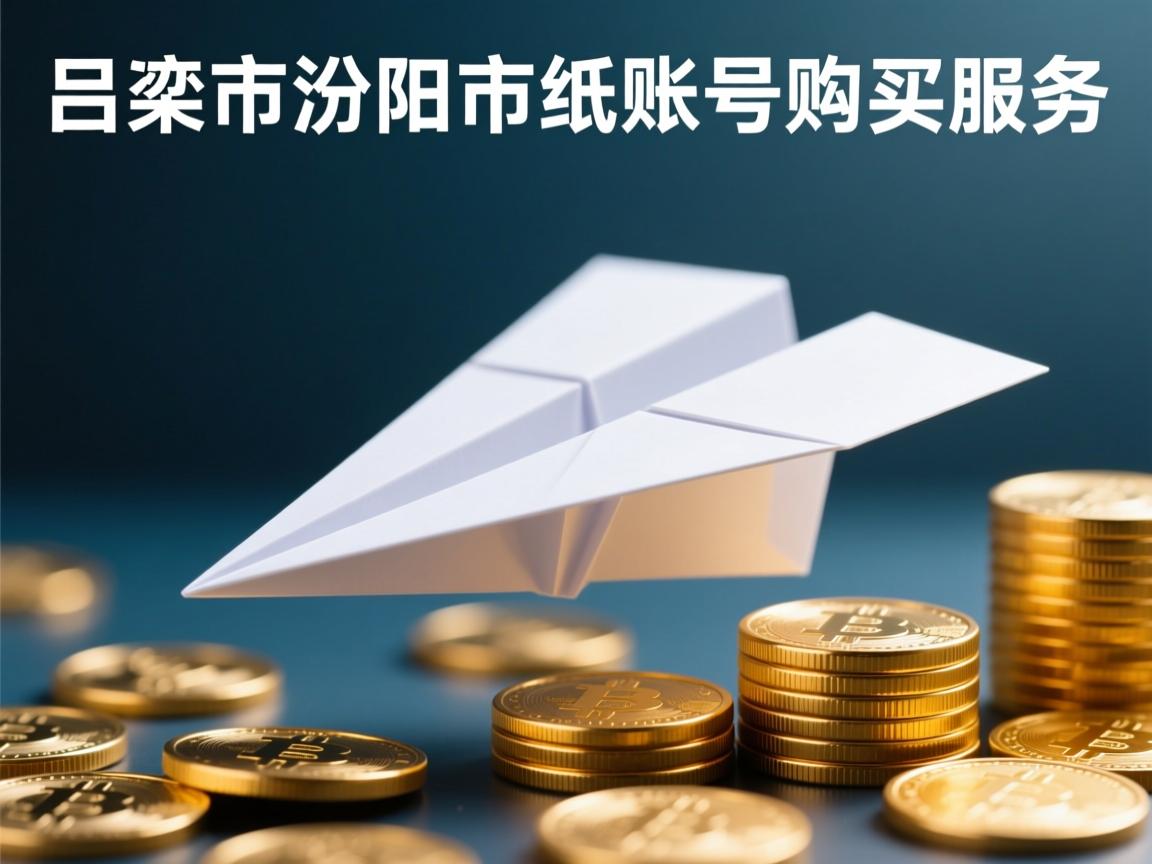 吕梁市汾阳市纸飞机账号购买服务