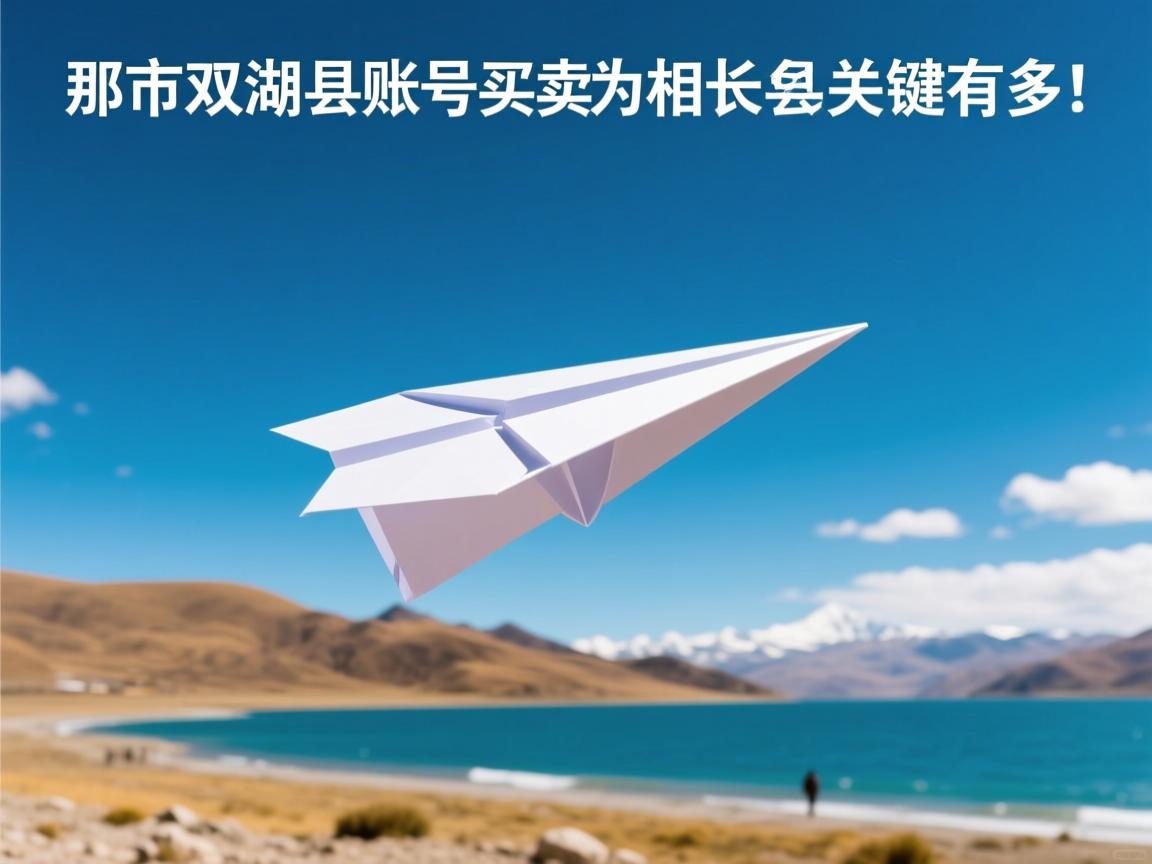 那曲市双湖县纸飞机账号买卖的相关长尾关键词有哪些