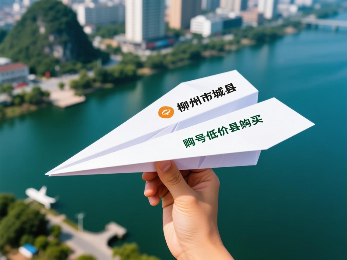 柳州市柳城县纸飞机账号低价购买的相关长尾关键词是那些