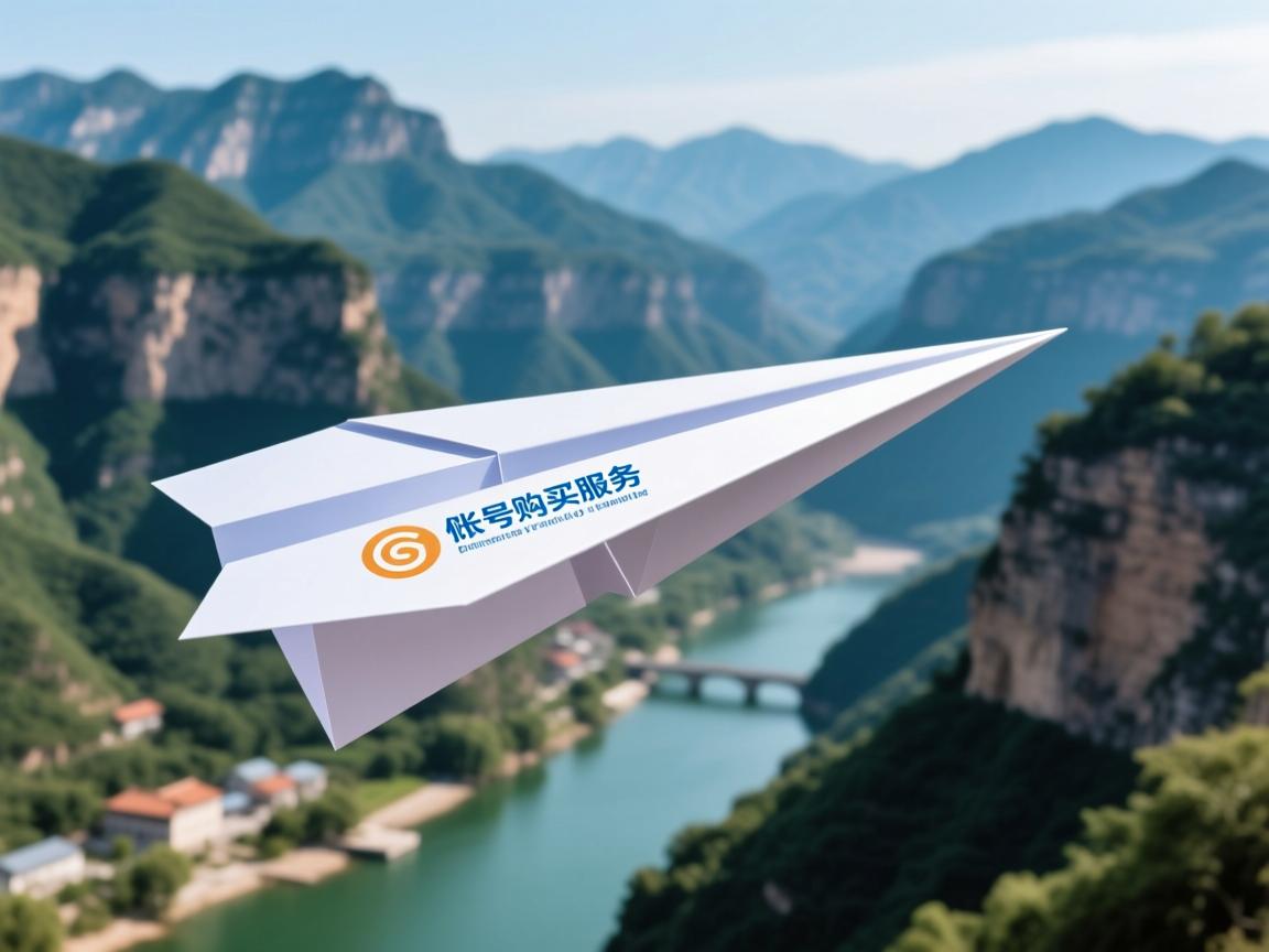 保定市涞水县纸飞机账号购买服务